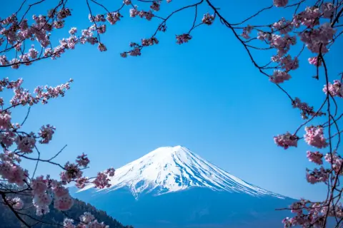 【四十九日】追悼の法要：日本における「忌明け」の節目と儀式の意味
